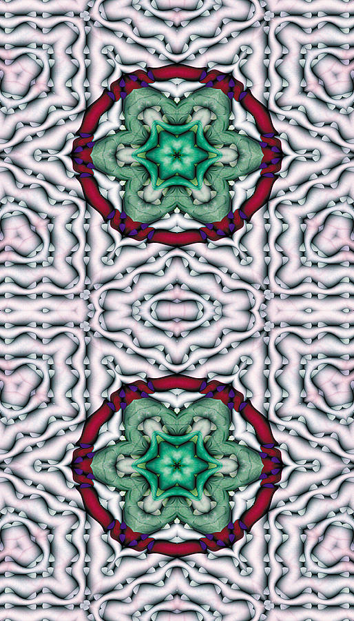 Abstract Digital Art - Mandala 7 for iPhone Double by Terry Reynoldson