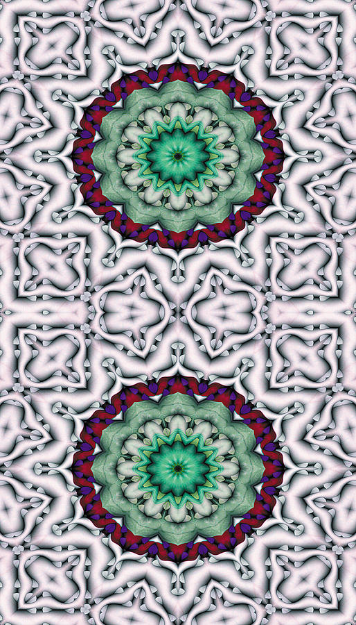 Abstract Digital Art - Mandala 8 for iPhone Double by Terry Reynoldson