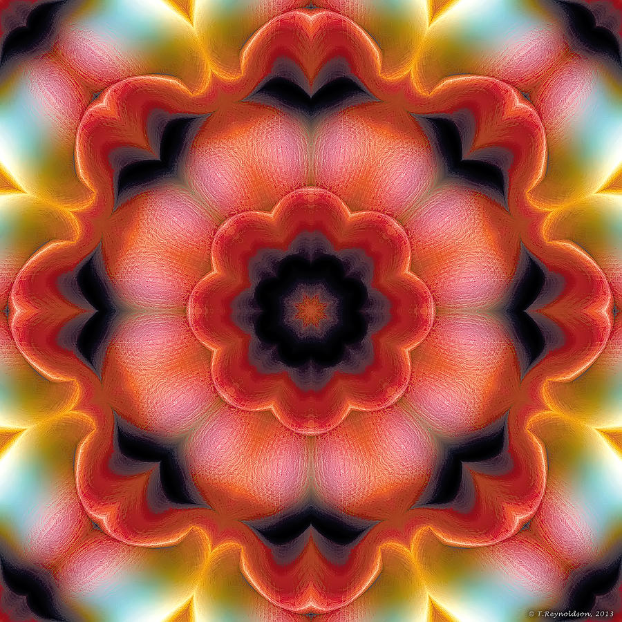 Nirvana Digital Art - Mandala 91 by Terry Reynoldson