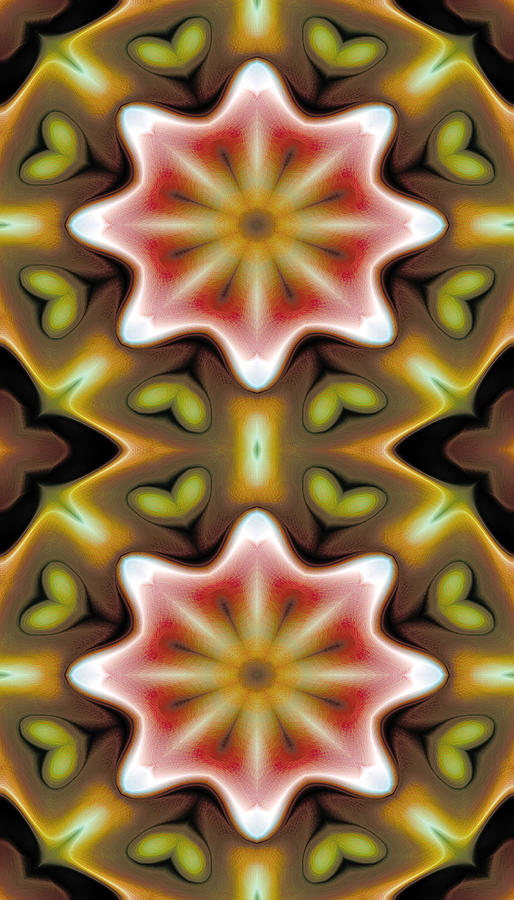 Abstract Digital Art - Mandala 93 for iPhone Double by Terry Reynoldson