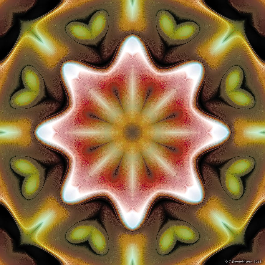 Geometric Pattern Digital Art - Mandala 93 by Terry Reynoldson