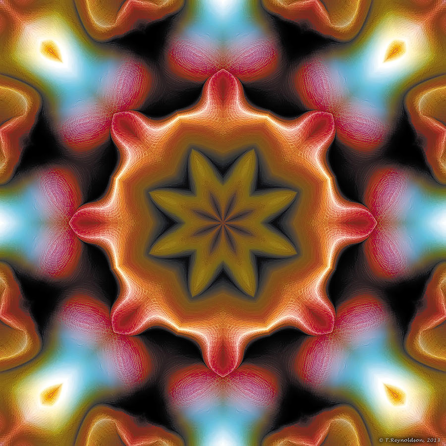 Nirvana Digital Art - Mandala 94 by Terry Reynoldson