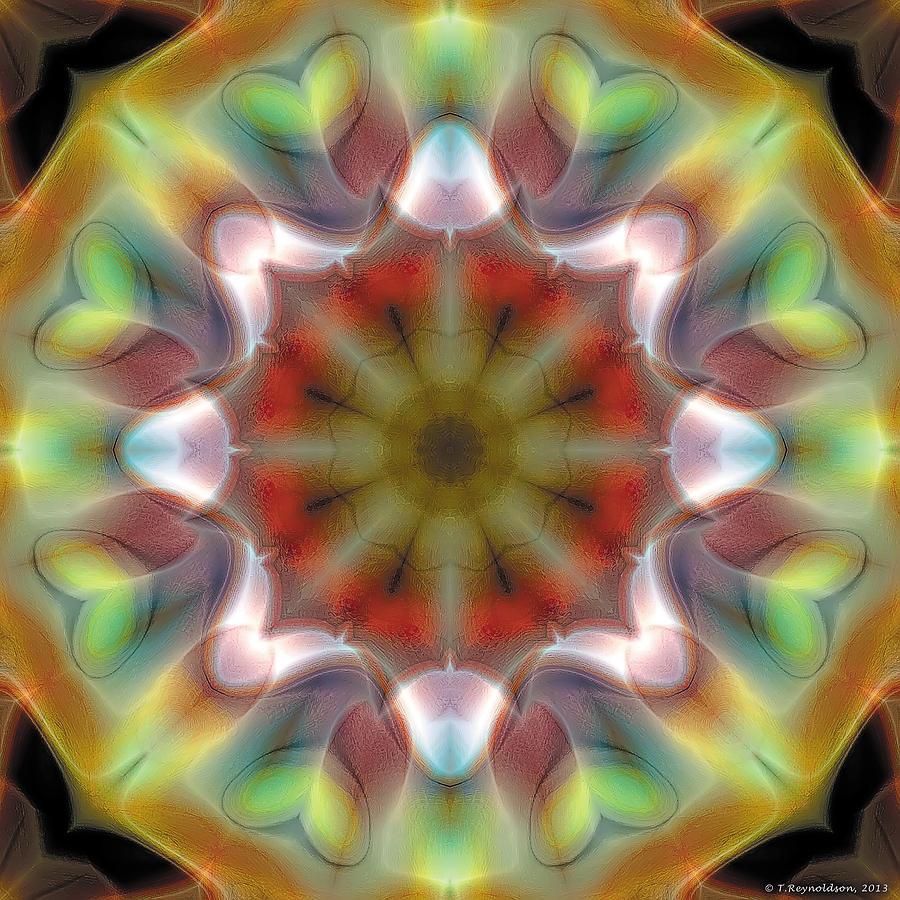 Nirvana Digital Art - Mandala 97 by Terry Reynoldson
