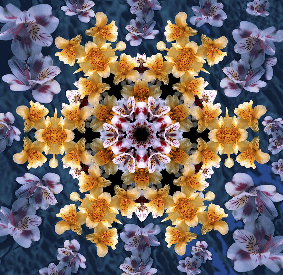 Mandala Alstro Digital Art by Nancy Griswold