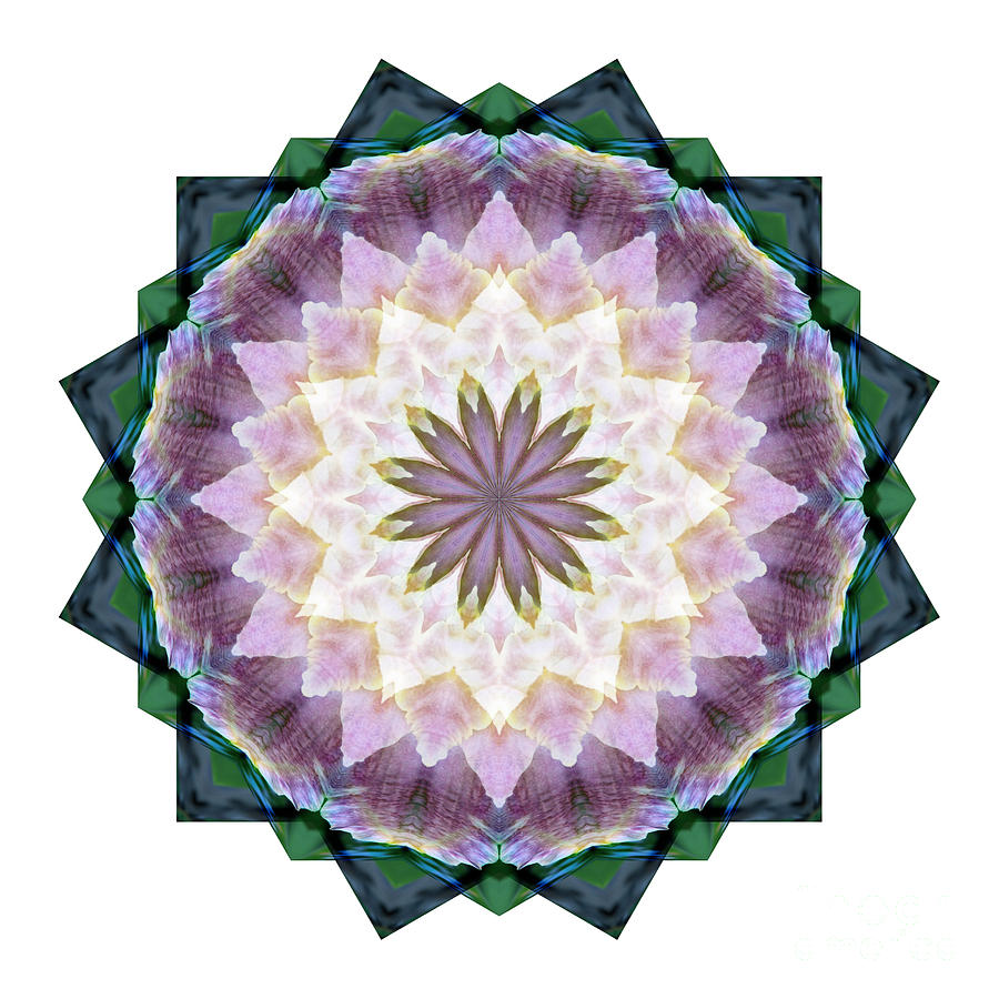 Mandala - Hagi Healing Layers Digital Art by Kathi Shotwell