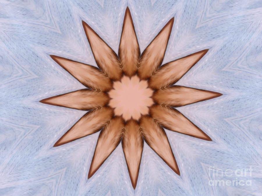 Mandala In Season Digital Art by Fania Simon