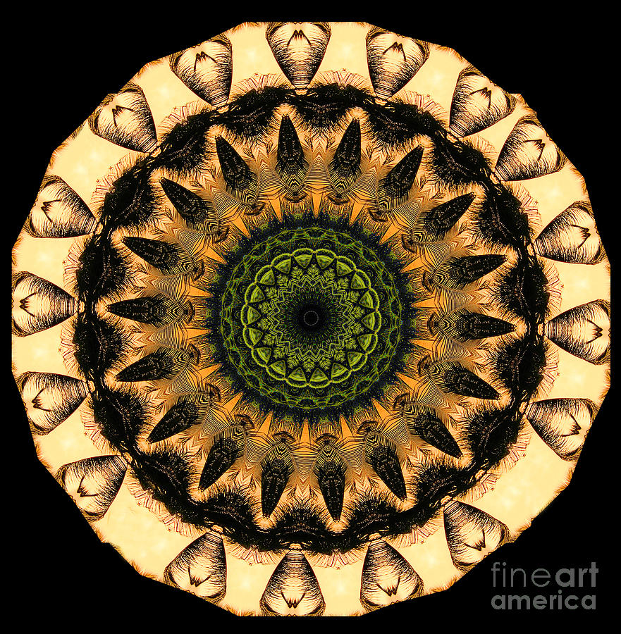 Mandala in Yellow Photograph by Wernher Krutein