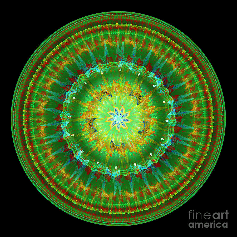 Mandala of life Digital Art by Martin Capek