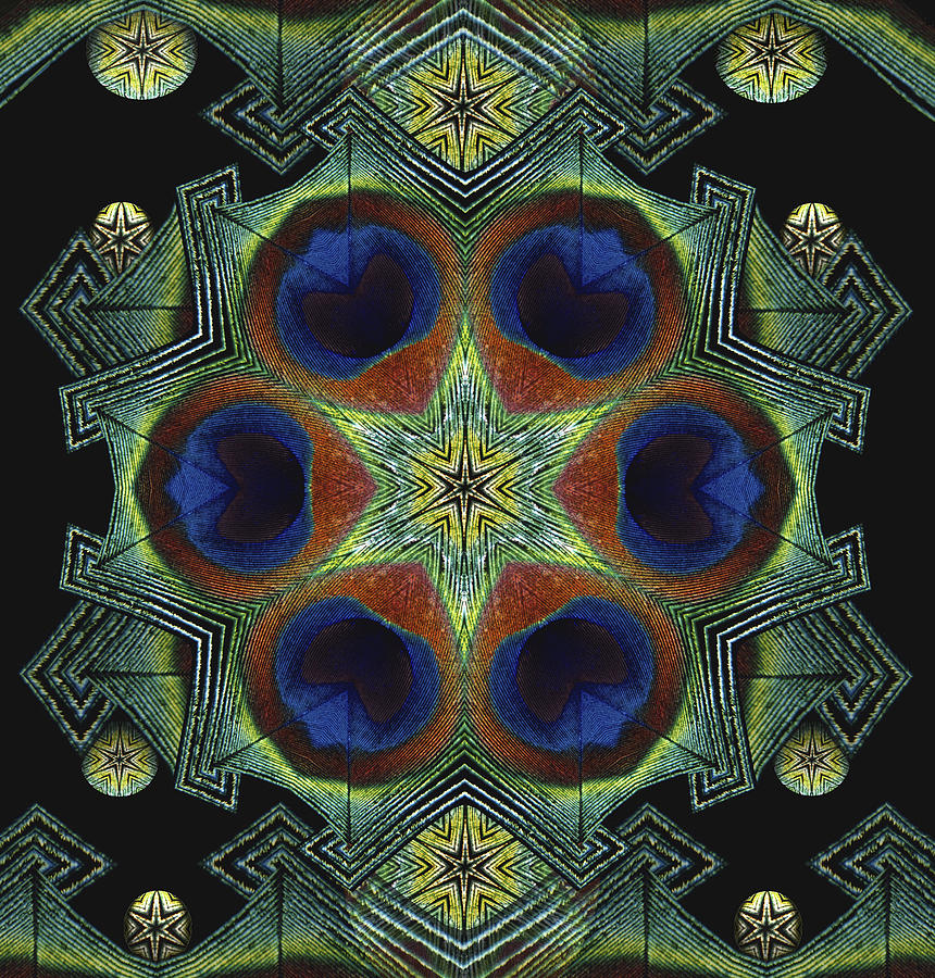Mandala Peacock  Digital Art by Nancy Griswold