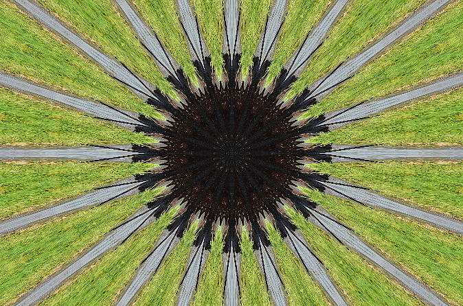 Mandala Photograph - Mandala by Yanina Campos Mandala Photograph - Mandala by Yanina Campos