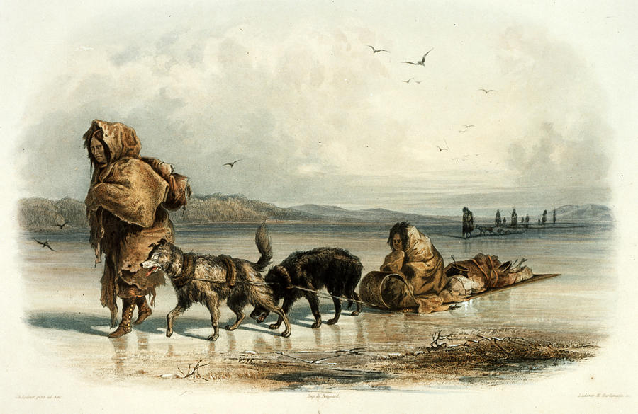 Mandan Indians With Dog Sledge, C.1840 Painting by Science Source