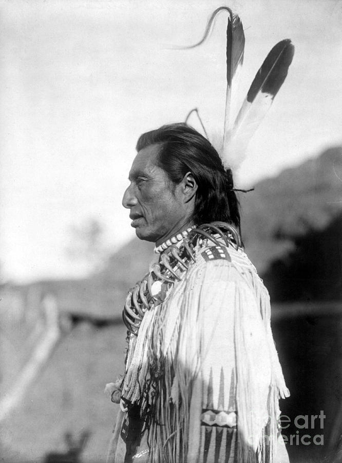 MANDAN MEDICINE MAN, c1908 Photograph by Granger MANDAN MEDICINE MAN, c1908 Photograph by Granger