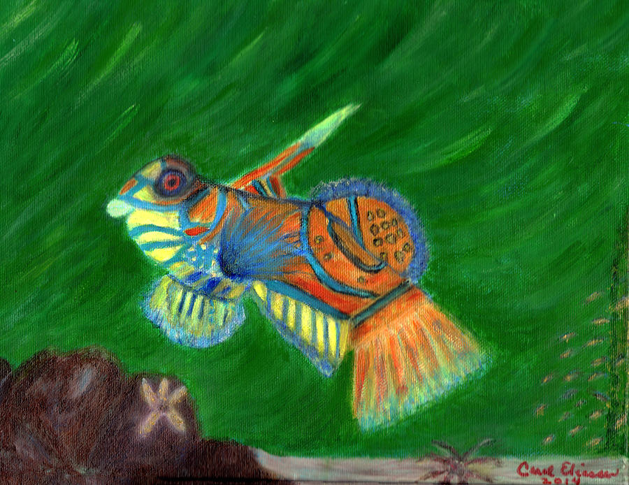 Mandarin Fish  Painting by Carol Eliassen