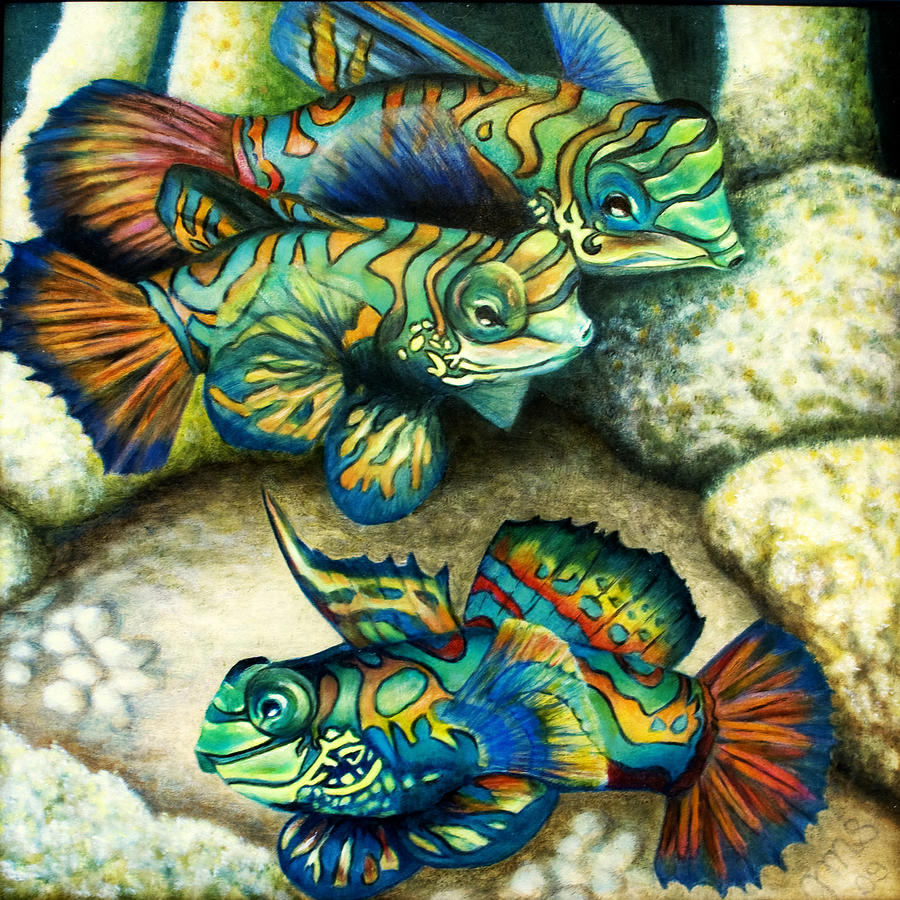 Mandarin Fish Painting by Jutta Shetina