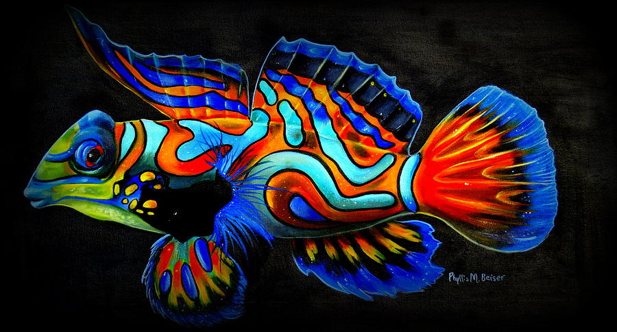 Mandarin Fish Painting by Phyllis Beiser