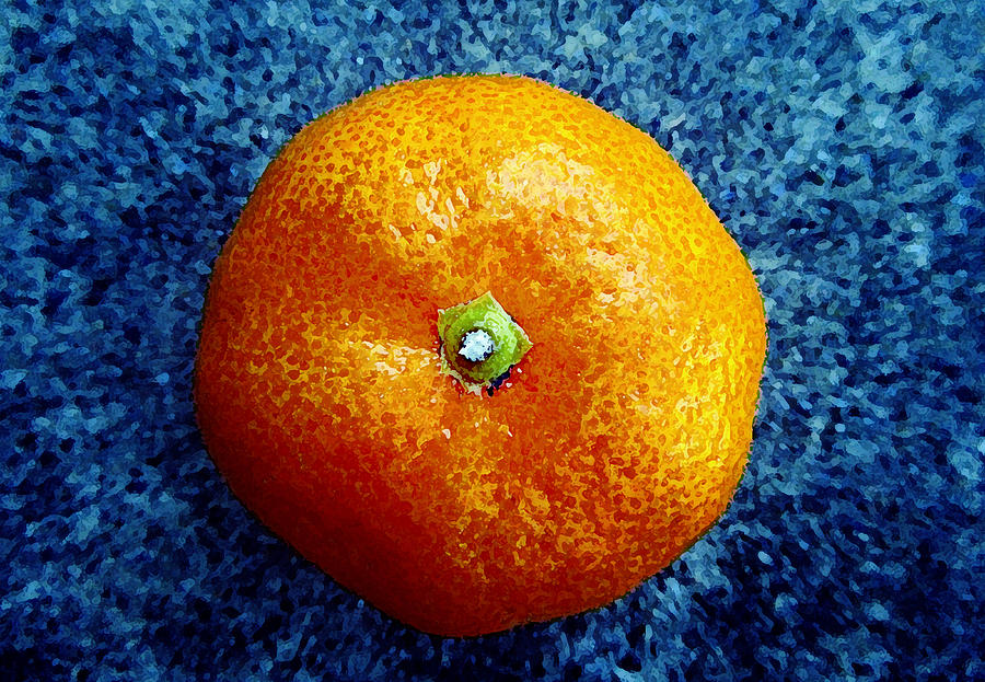 Mandarin Orange Photograph by Laurie Tsemak