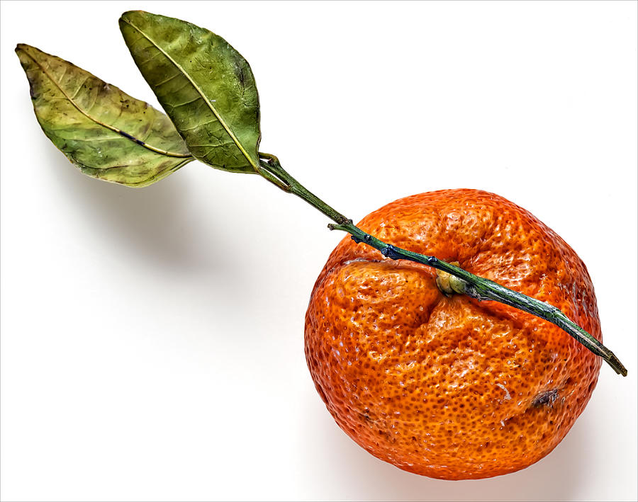 Mandarin Orange Photograph by Robert Ullmann