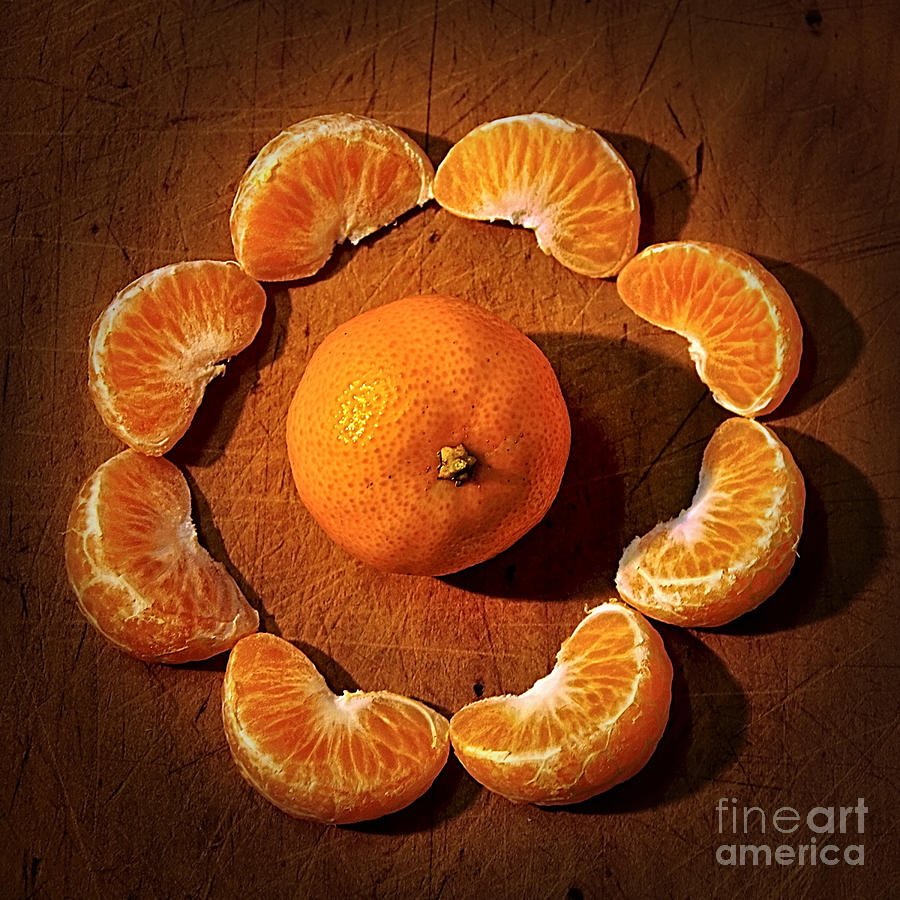 Fruit Photograph - Mandarin - Vignette by Kaye Menner
