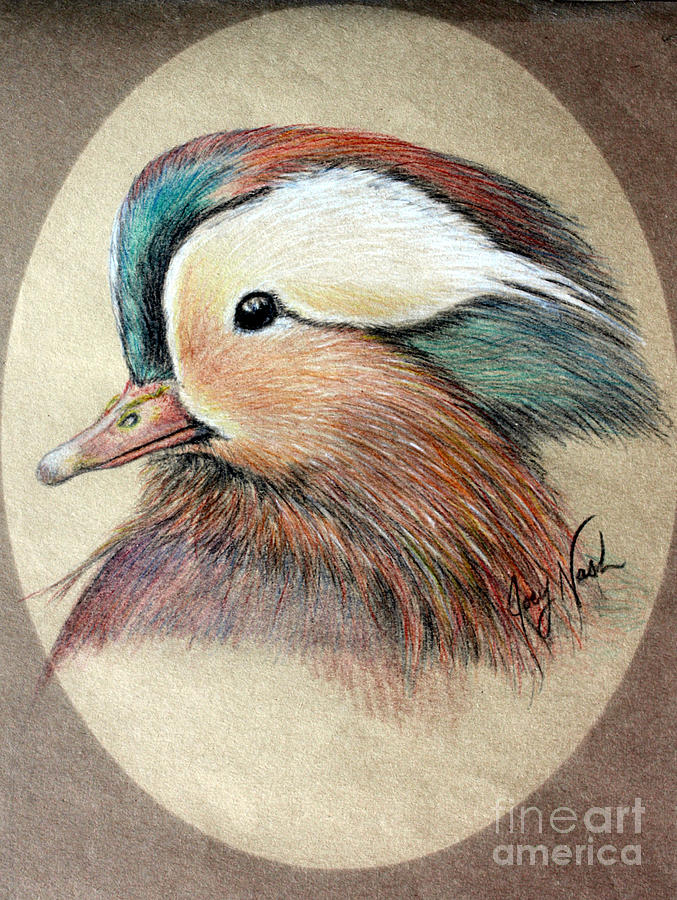 Duck Painting - Mandarin Wood Duck by Joey Nash