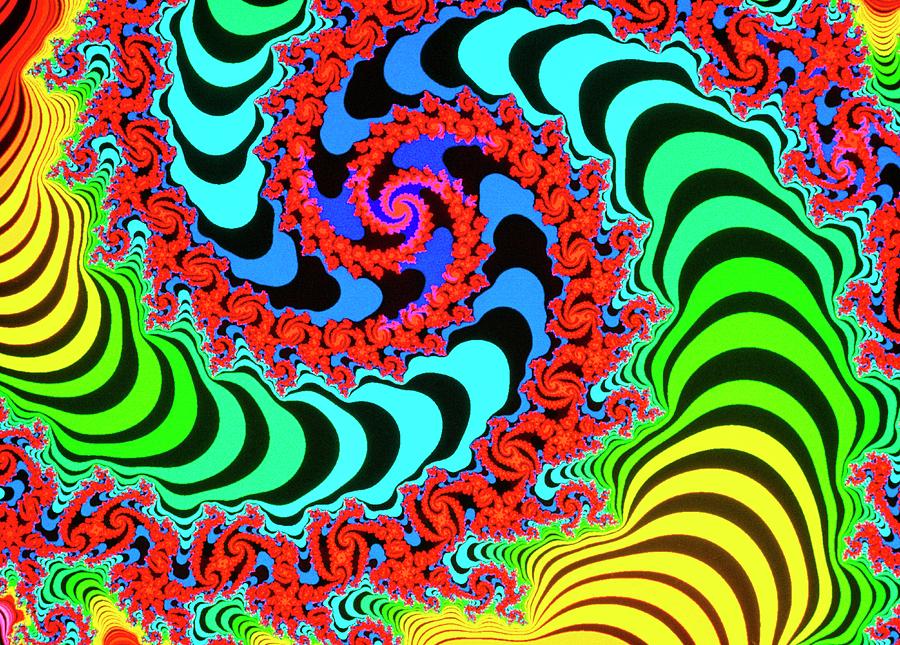 Let's Twist Again Photograph - Mandelbrot Fractal: Lets Twist Again by Gregory Sams/science Photo Library