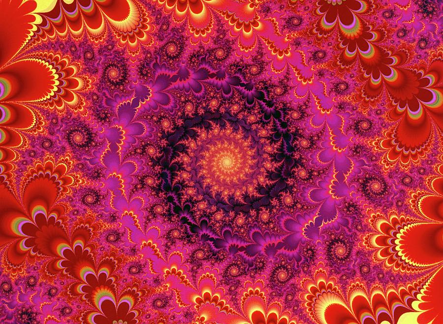 Mandelbrot Fractal: Whirl In Paradise Photograph by Gregory Sams/science Photo Library