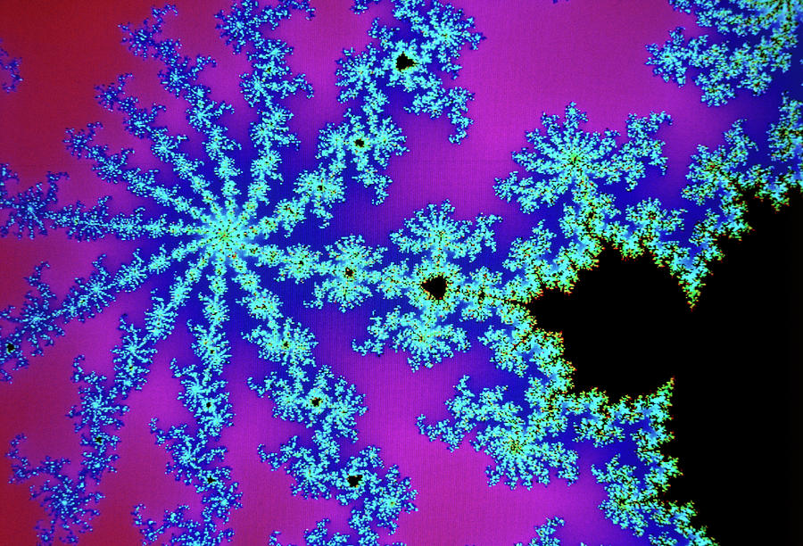 Mandelbrot Set Photograph by Dr Fred Espenak/science Photo Library
