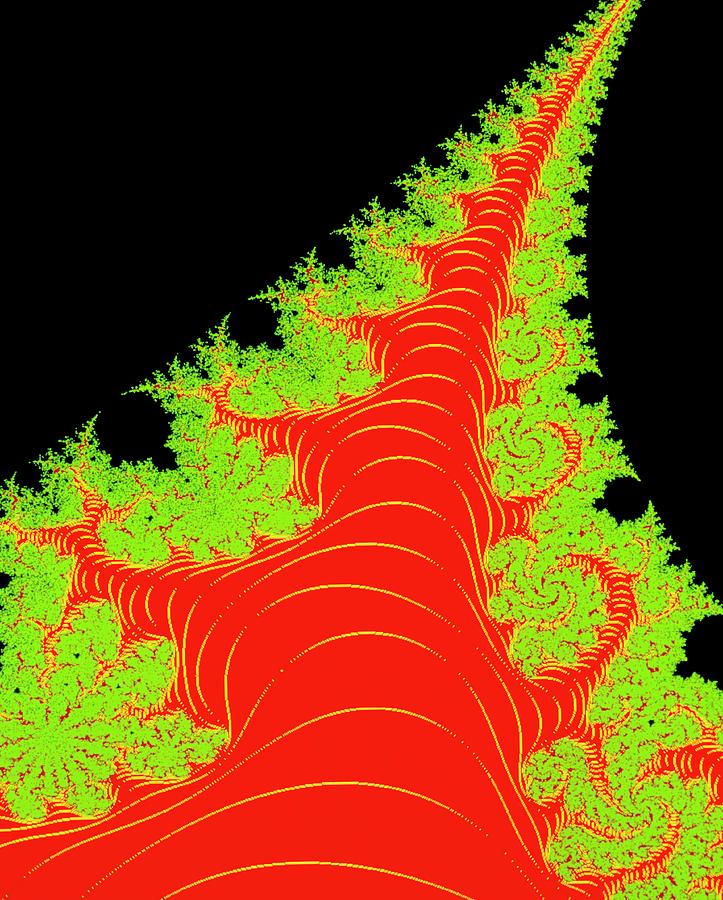 Mandelbrot Set:- Dragons Tail Photograph by Gregory Sams/science Photo Library