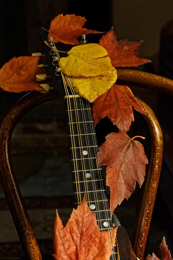 Mandolin Autumn 1 Photograph by Mick Anderson