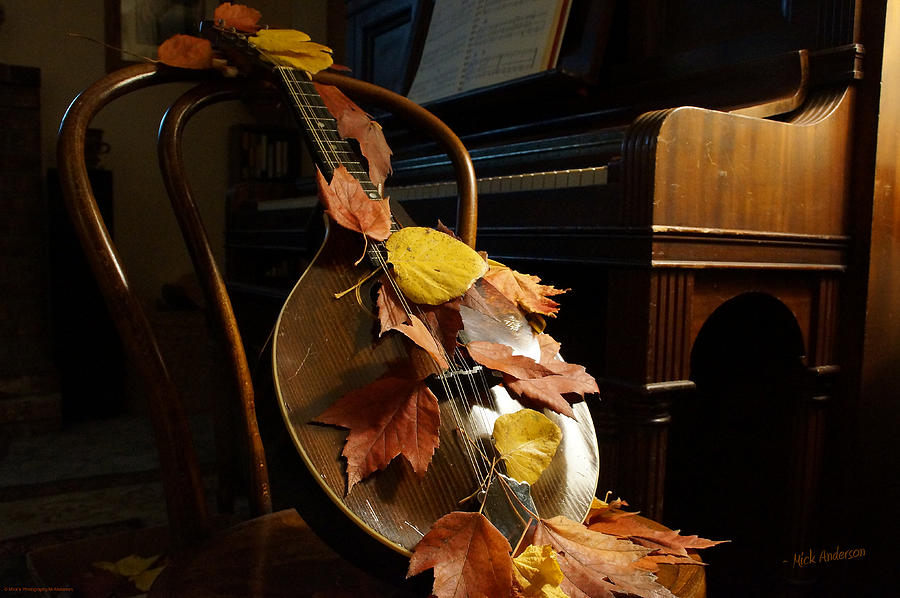 Music Photograph - Mandolin Autumn 2 by Mick Anderson