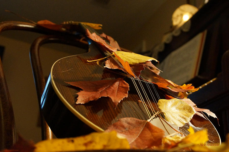 Music Photograph - Mandolin Autumn 3 by Mick Anderson
