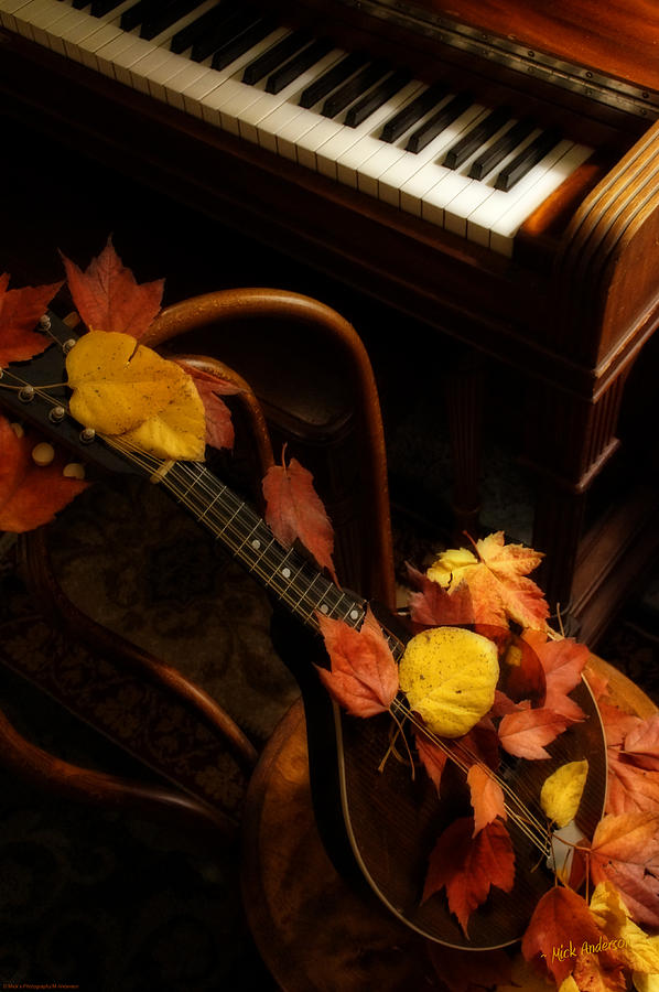 Mandolin Autumn 5 Photograph by Mick Anderson
