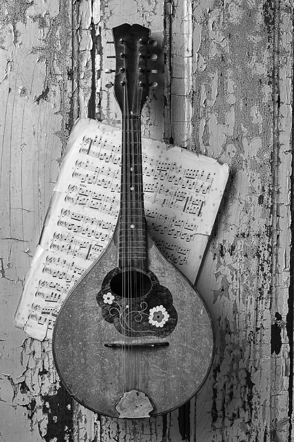 Mandolin In Black And White Photograph by Garry Gay