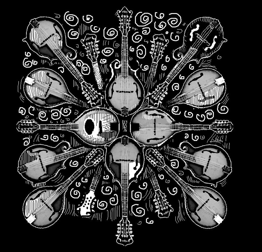 Mandolin Mandala Digital Art by Kara Barnard