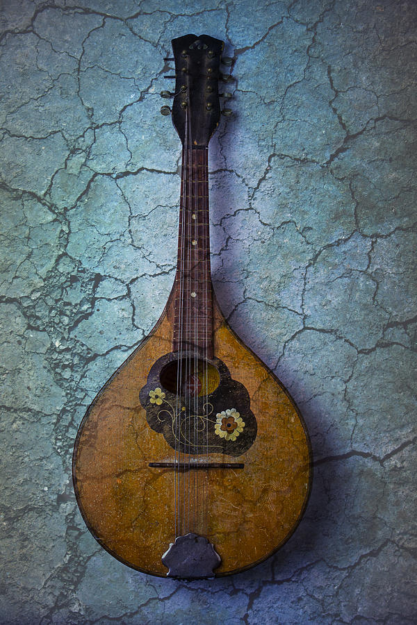 Still Life Photograph - Mandolin Mystery by Garry Gay