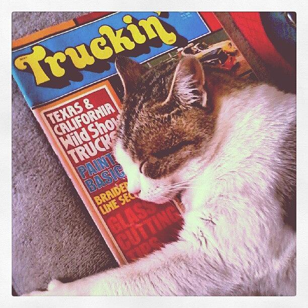 Mandy Is Dreaming About Truckin To Photograph by Ashley Fontenot