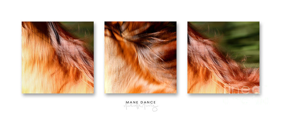 Mane Dance Triptych Photograph by Michelle Twohig