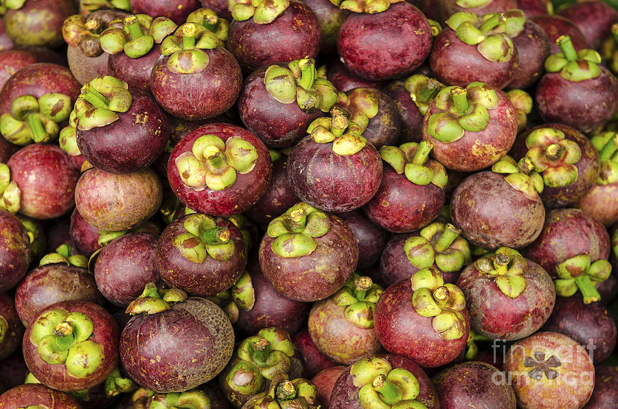 https://images.fineartamerica.com/images-medium-large-5/mangosteen-tropical-exotic-fruit-in-market-jacek-malipan.jpg