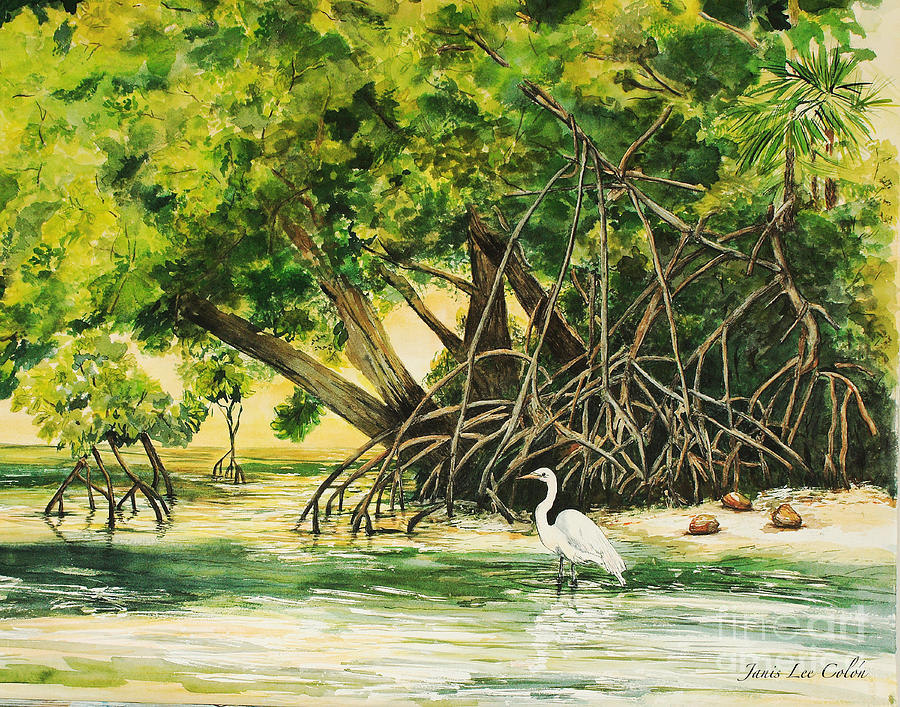 Mangrove Morning Painting by Janis Lee Colon