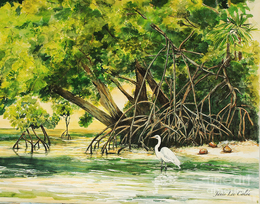 Tree Painting - Mangrove Morning by Janis Lee Colon