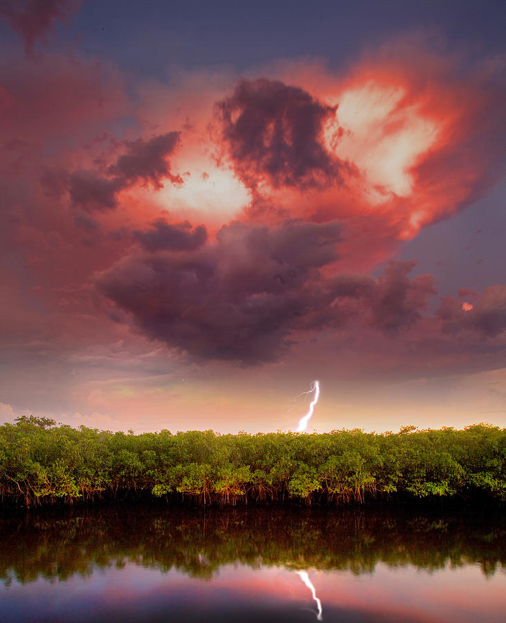 Mangrove Storm Photograph by Mal Bray