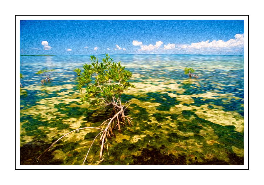 Mangrove Ver. 2 Photograph by Larry Mulvehill