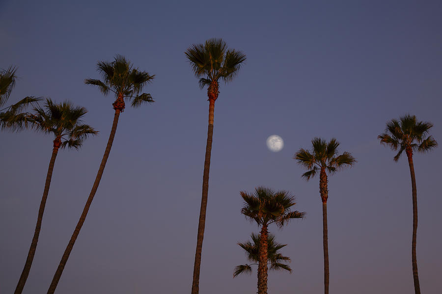 Manhattan Beach Moon Photograph by Steve Gravano