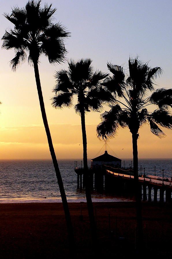 Manhattan Beach Pier Palms Photograph by Jeff Lowe
