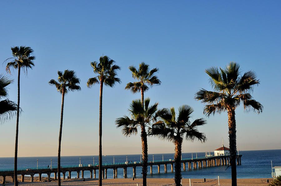 Manhattan Beach Pier with Palm Trees Photograph by Diane Lent