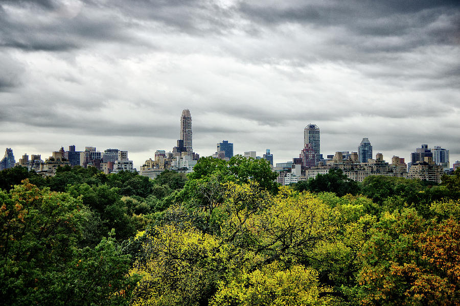 Central Park Photograph - Manhattan Skyline by Afton Almaraz