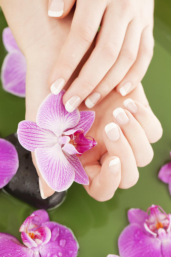 Manicure: beautiful female hands holding an orchid Photograph by Alina555