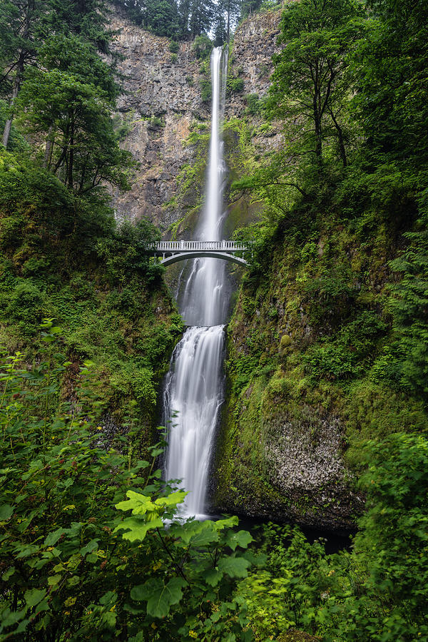 Magnificent Multnomah Falls Photograph by Vishwanath Bhat - Fine Art ...