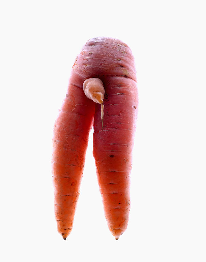 Manly Carrot  Photograph by Jonathan Kirn