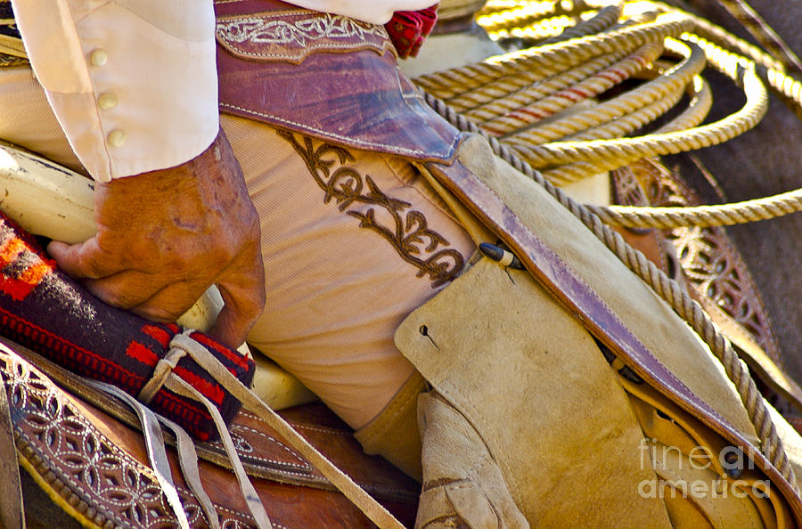 Horse Photograph - Mano y Montura by Kristine Celorio