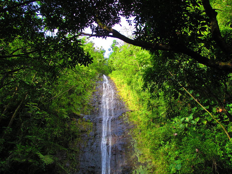 Manoa Valley Falls Photograph